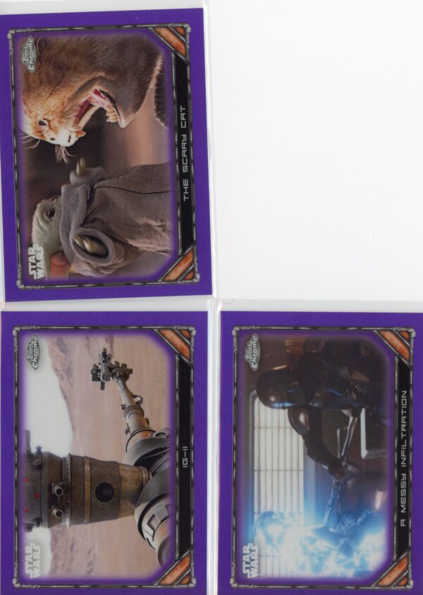Lamas_Purple_Mando