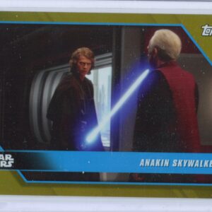Talea_Anakin